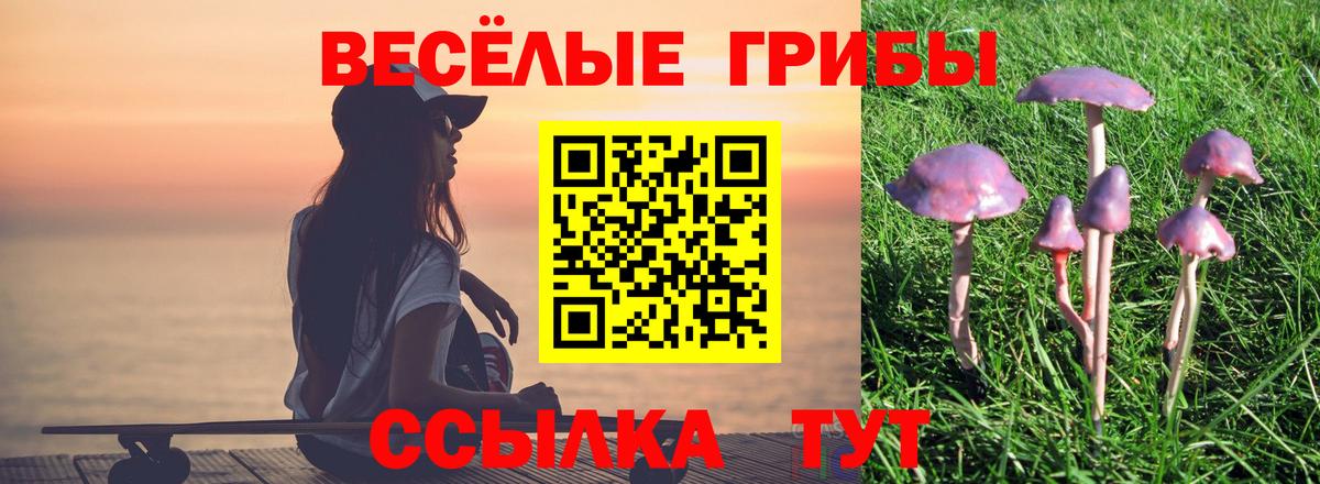 что такое   Вход с VPN  Ковров  Псилоцибиновые грибы Psilocybine cubensis  Галлюциногенные грибы прущие грибы 